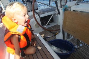 Vi får Barracuda på kroken