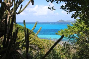 Tobago Cays