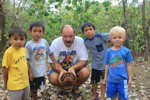 Landskilpadder på Mustique