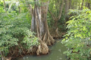 På tur på Dominiqa